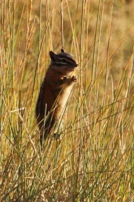 IMG_4734.jpg