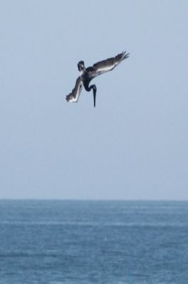 IMG_6151.jpg