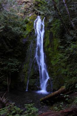 IMG_8796.jpg