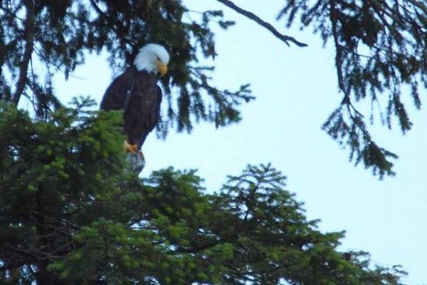 IMG_8838.jpg