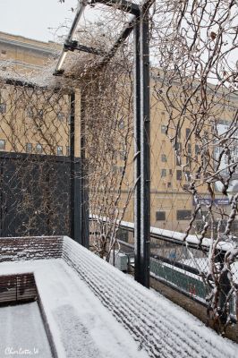 Highline Park
