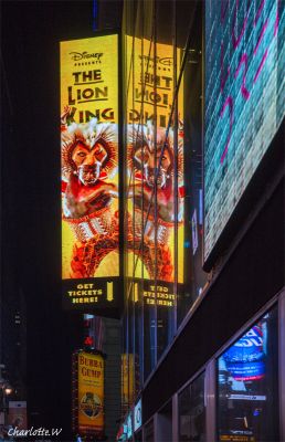 TS Lion King
