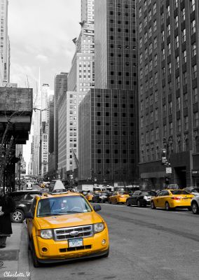 Yellow Cab
