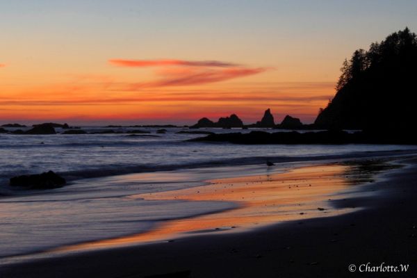 Rialto Beach, Olympic NP
