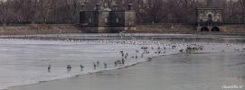 CP Reservoir