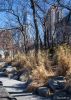 Downtown East Parks