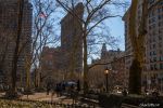 Dogrun Flatiron