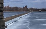 Central Park Reservoir