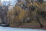 Central Park Weiden