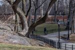 Greeter Central Park -