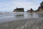 IMG_0850.jpg