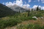 IMG_3666.jpg