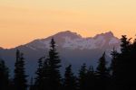 IMG_8747.jpg