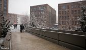 Highline Park