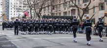 StPNavyHinten_8846_F.jpg