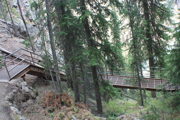 13006.JPG
