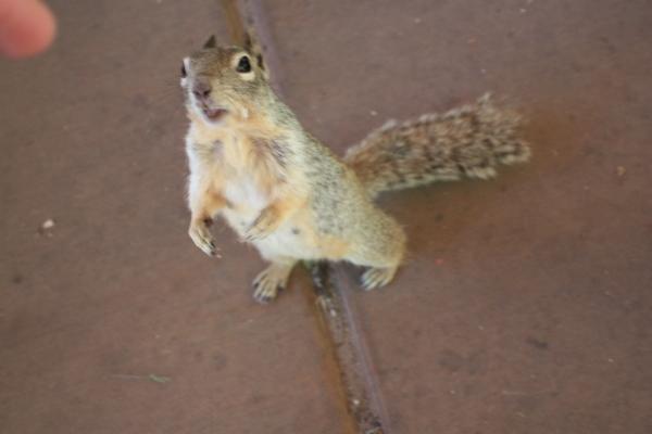4015.JPG