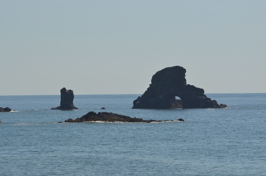 comp_oregon_041.jpg