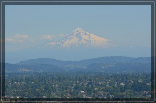 comp_Portland_036.jpg