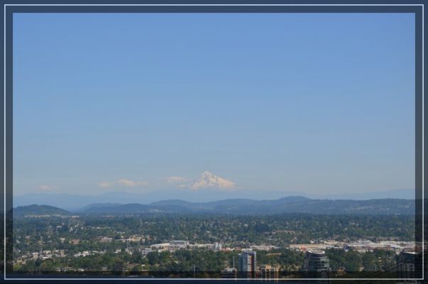 comp_Portland_050.jpg