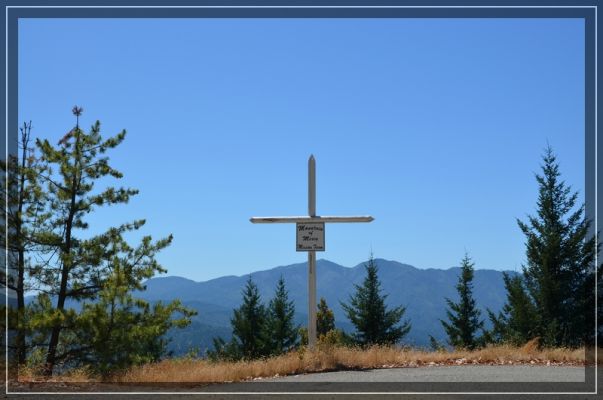 comp_california-redwoods_046.jpg