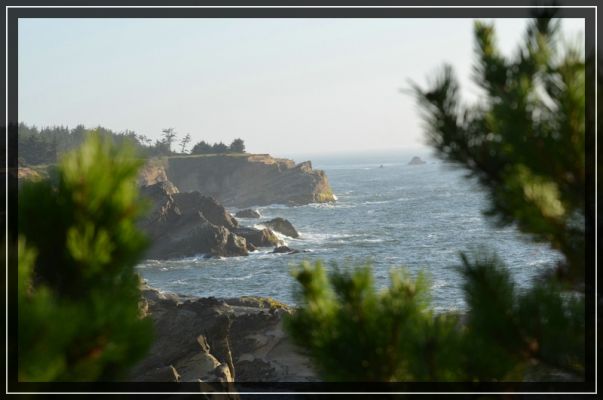 comp_comp_grants_pass_bis_bandon_119.jpg