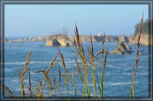 comp_grants_pass_bis_bandon_100.jpg