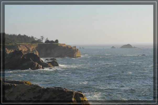 comp_grants_pass_bis_bandon_112.jpg
