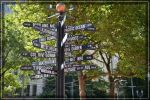 Portland
