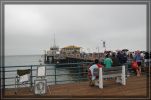 Pier Venice Beach