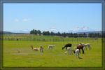 comp_von_timberline_bis_grants_pass_071.jpg