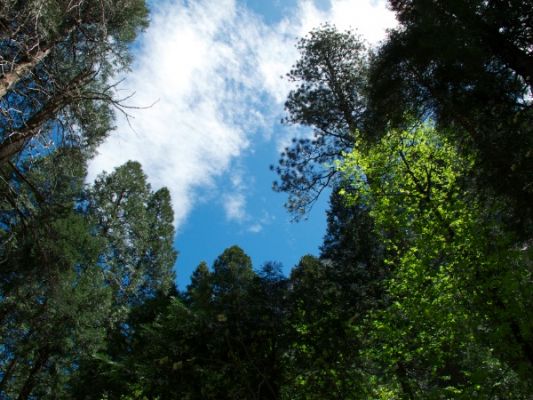 Yosemite2_4.jpg