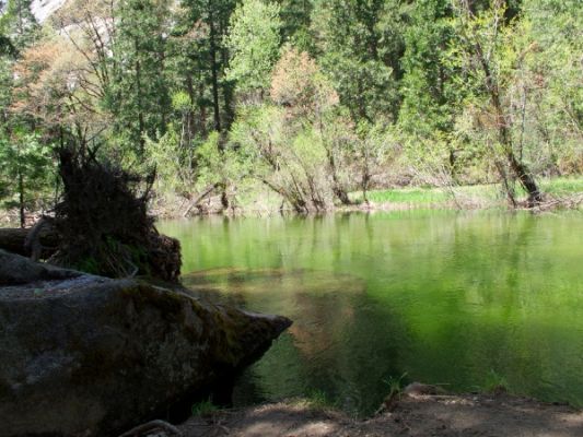 Yosemite2_8.jpg