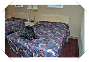 Albuquerque_(7).JPG