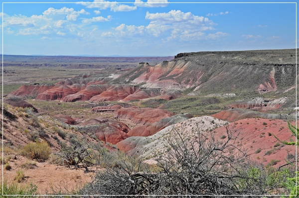 Petrified_Forest_(125).JPG