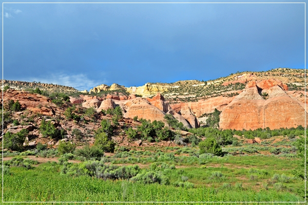 Petrified_Forest_(154).JPG