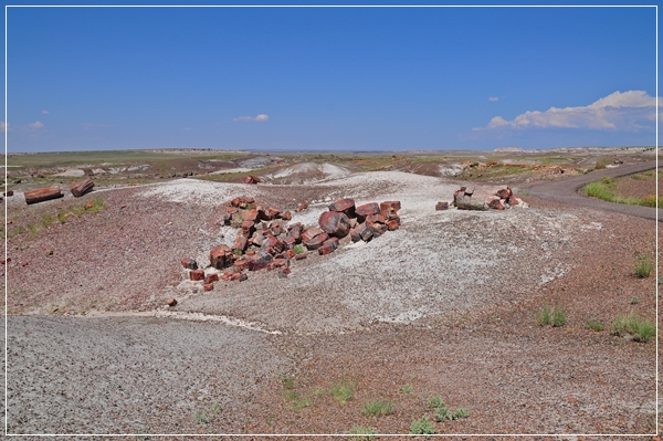 Petrified_Forest_(59).JPG