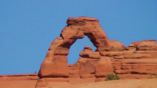 S1130004.JPG
