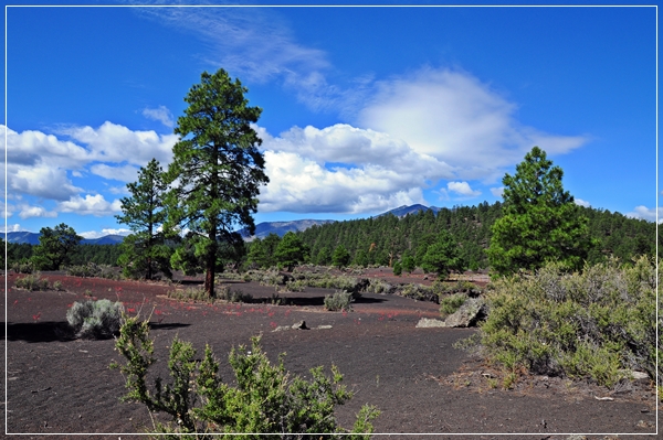 Sunset_Crater_(32).JPG