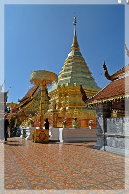 600_8427.JPG