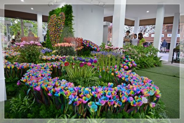 600_8788.JPG