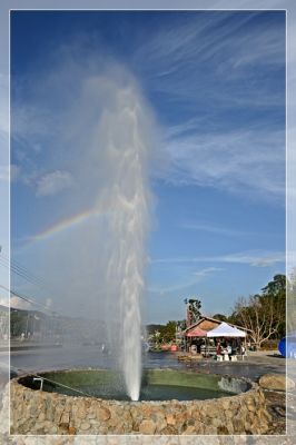 600_9090.JPG