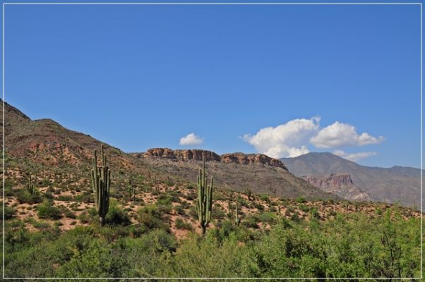Apache_Trail_(237).JPG