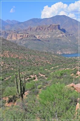 Apache_Trail_(241).JPG