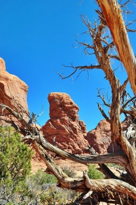 Arches___Canyonlands_(146).jpg