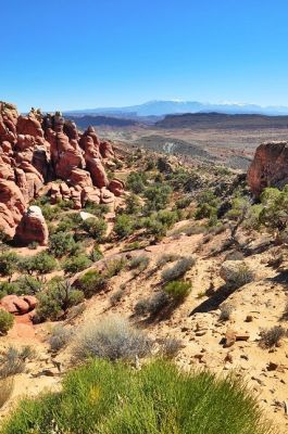 Arches___Canyonlands_(206).jpg