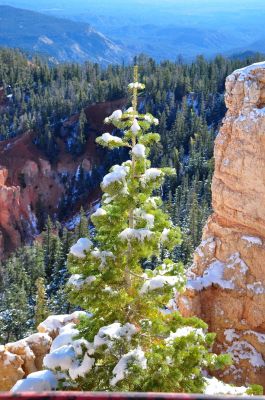 Bryce Canyon
