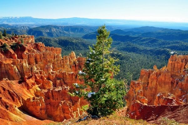Bryce_Canyon_(172).jpg