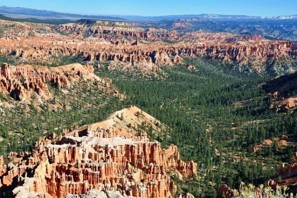 Bryce_Canyon_(269).jpg