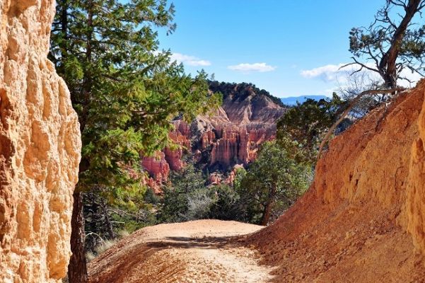 Bryce_Canyon_(312).jpg